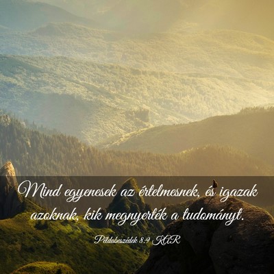 Picture 03 - Példabeszédek 8:9 KAR - Mind egyenesek az értelmesnek, és igazak - Bible Verse Picture