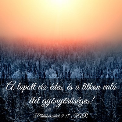 Picture 03 - Példabeszédek 9:17 KAR - A lopott víz édes, és a titkon való étel - Bible Verse Picture