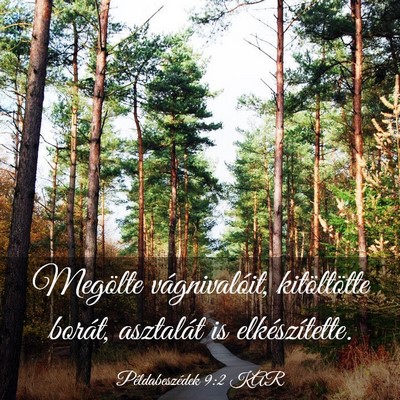 Picture 03 - Példabeszédek 9:2 KAR - Megölte vágnivalóit, kitöltötte borát, - Bible Verse Picture