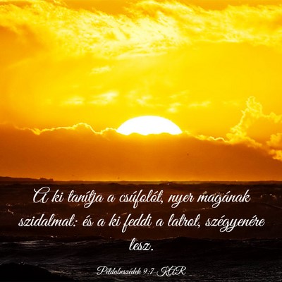 Picture 03 - Példabeszédek 9:7 KAR - A ki tanítja a csúfolót, nyer magának - Bible Verse Picture