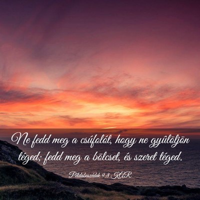 Picture 03 - Példabeszédek 9:8 KAR - Ne fedd meg a csúfolót, hogy ne gyûlöljön - Bible Verse Picture