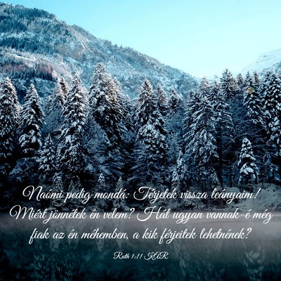 Picture 03 - Ruth 1:11 KAR - Naómi pedig mondá: Térjetek vissza leányaim! - Bible Verse Picture