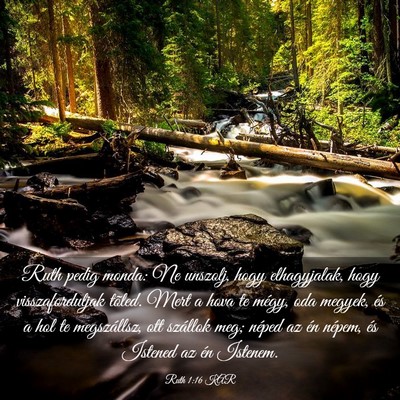 Picture 03 - Ruth 1:16 KAR - Ruth pedig monda: Ne unszolj, hogy elhagyjalak, - Bible Verse Picture