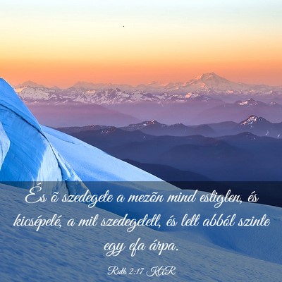 Picture 03 - Ruth 2:17 KAR - És õ szedegete a mezõn mind estiglen, és - Bible Verse Picture