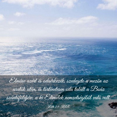 Picture 03 - Ruth 2:3 KAR - Elméne azért és odaérkezék, szedegete a - Bible Verse Picture