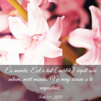 Picture 03 - Ruth 3:17 KAR - És monda: Ezt a hat [mérték] árpát adá - Bible Verse Picture