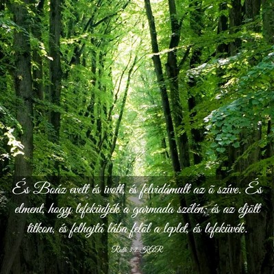 Picture 03 - Ruth 3:7 KAR - És Boáz evett és ivott, és felvidámult az õ - Bible Verse Picture