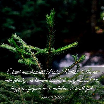 Picture 03 - Ruth 4:13 KAR - Elvevé annakokáért Boáz Ruthot, és lõn az - Bible Verse Picture
