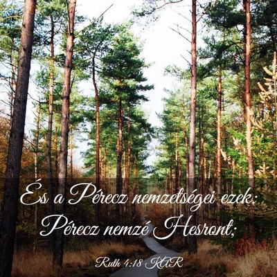 Picture 03 - Ruth 4:18 KAR - És a Pérecz nemzetségei ezek: Pérecz nemzé - Bible Verse Picture