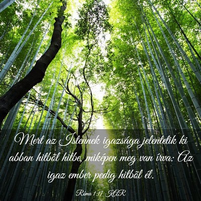 Picture 03 - Róma 1:17 KAR - Mert az Istennek igazsága jelentetik ki abban - Bible Verse Picture