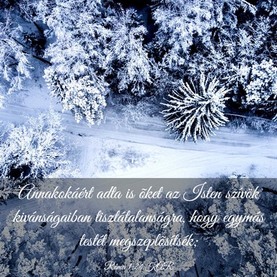 Picture 03 - Róma 1:24 KAR - Annakokáért adta is õket az Isten szívök - Bible Verse Picture