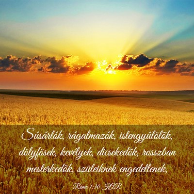 Picture 03 - Róma 1:30 KAR - Súsárlók, rágalmazók, istengyûlölõk, - Bible Verse Picture