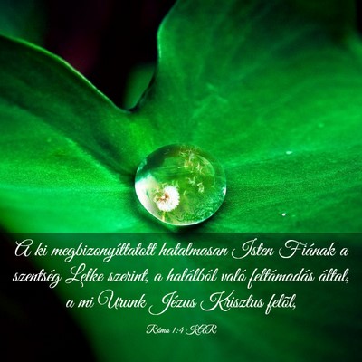 Picture 03 - Róma 1:4 KAR - A ki megbizonyíttatott hatalmasan Isten Fiának - Bible Verse Picture