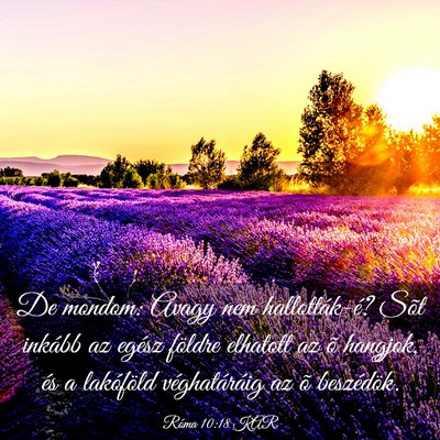 Picture 03 - Róma 10:18 KAR - De mondom: Avagy nem hallották-é? Sõt inkább - Bible Verse Picture