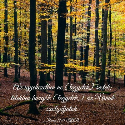 Picture 03 - Róma 12:11 KAR - Az igyekezetben ne [legyetek] restek; lélekben - Bible Verse Picture