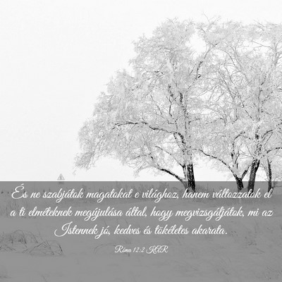 Picture 03 - Róma 12:2 KAR - És ne szabjátok magatokat e világhoz, hanem - Bible Verse Picture