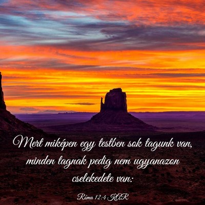 Picture 03 - Róma 12:4 KAR - Mert miképen egy testben sok tagunk van, minden - Bible Verse Picture