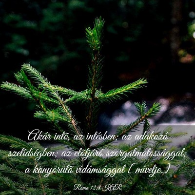 Picture 03 - Róma 12:8 KAR - Akár intõ, az intésben; az adakozó - Bible Verse Picture