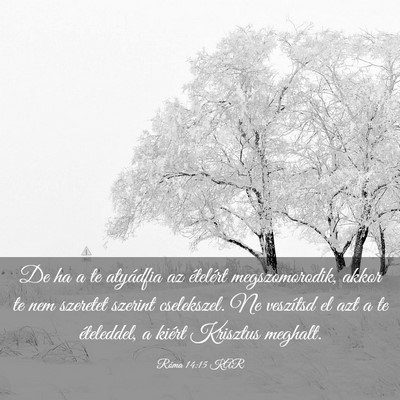 Picture 03 - Róma 14:15 KAR - De ha a te atyádfia az ételért megszomorodik, - Bible Verse Picture