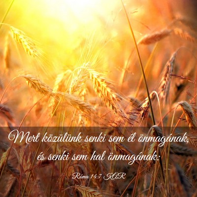 Picture 03 - Róma 14:7 KAR - Mert közülünk senki sem él önmagának, és - Bible Verse Picture