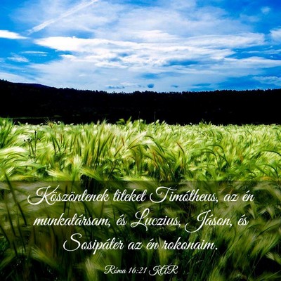 Picture 03 - Róma 16:21 KAR - Köszöntenek titeket Timótheus, az én - Bible Verse Picture