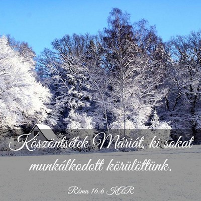 Picture 03 - Róma 16:6 KAR - Köszöntsétek Máriát, ki sokat munkálkodott - Bible Verse Picture