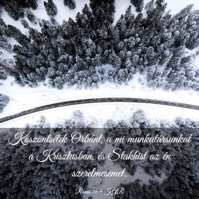 Picture 03 - Róma 16:9 KAR - Köszöntsétek Orbánt, a mi munkatársunkat a - Bible Verse Picture