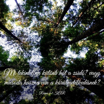 Picture 03 - Róma 3:1 KAR - Mi tekintetben különb hát a zsidó? vagy - Bible Verse Picture