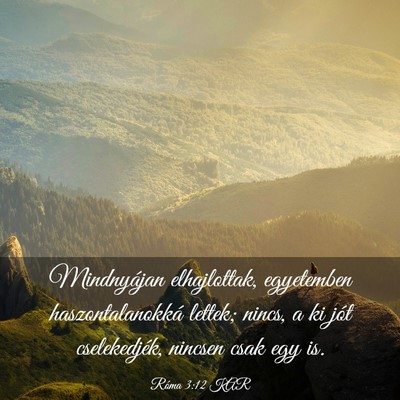 Picture 03 - Róma 3:12 KAR - Mindnyájan elhajlottak, egyetemben - Bible Verse Picture