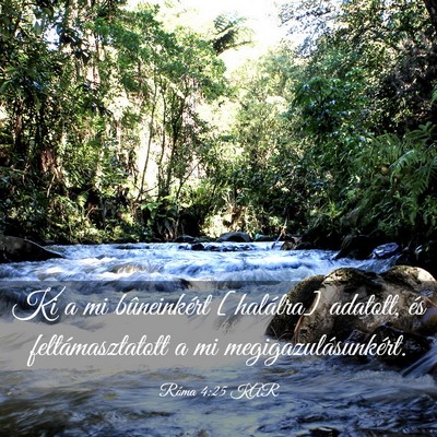 Picture 03 - Róma 4:25 KAR - Ki a mi bûneinkért [halálra] adatott, és - Bible Verse Picture