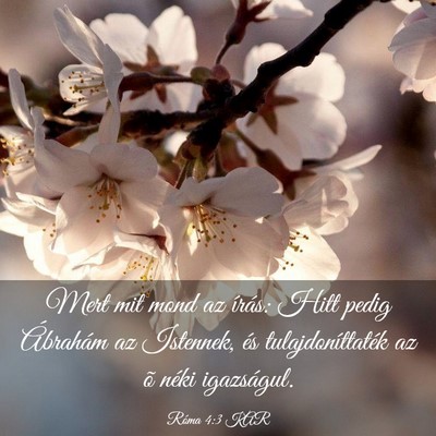 Picture 03 - Róma 4:3 KAR - Mert mit mond az írás: Hitt pedig Ábrahám az - Bible Verse Picture