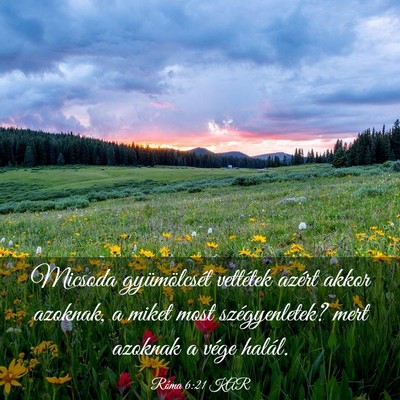 Picture 03 - Róma 6:21 KAR - Micsoda gyümölcsét vettétek azért akkor - Bible Verse Picture