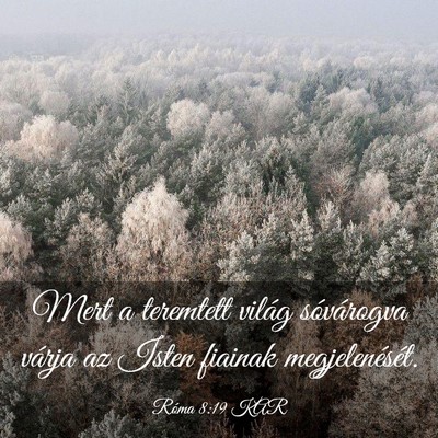 Picture 03 - Róma 8:19 KAR - Mert a teremtett világ sóvárogva várja az - Bible Verse Picture