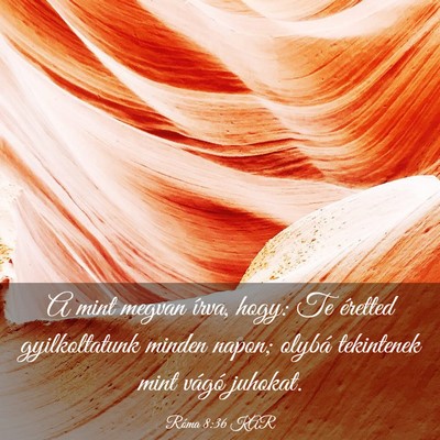 Picture 03 - Róma 8:36 KAR - A mint megvan írva, hogy: Te éretted - Bible Verse Picture
