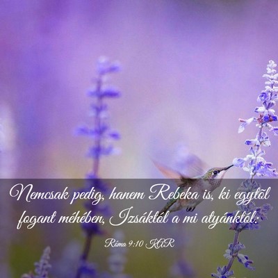 Picture 03 - Róma 9:10 KAR - Nemcsak pedig, hanem Rebeka is, ki egytõl fogant - Bible Verse Picture
