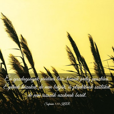 Picture 03 - Sofóniás 1:13 KAR - És gazdagságuk prédává lesz, házaik pedig - Bible Verse Picture