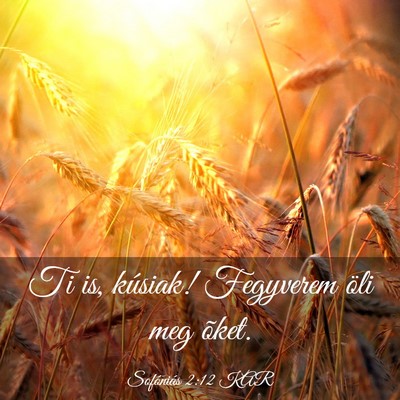 Picture 03 - Sofóniás 2:12 KAR - Ti is, kúsiak! Fegyverem öli meg - Bible Verse Picture