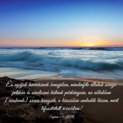 Picture 03 - Sofóniás 2:14 KAR - És nyájak heverésznek bensejében, mindenféle - Bible Verse Picture