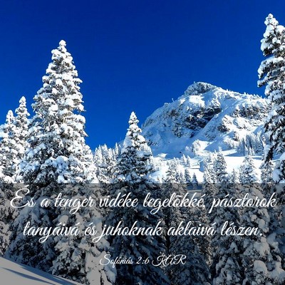 Picture 03 - Sofóniás 2:6 KAR - És a tenger vidéke legelõkké, pásztorok - Bible Verse Picture