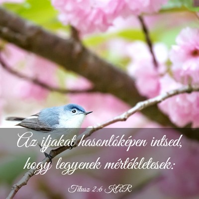 Picture 03 - Titusz 2:6 KAR - Az ifjakat hasonlóképen intsed, hogy legyenek - Bible Verse Picture