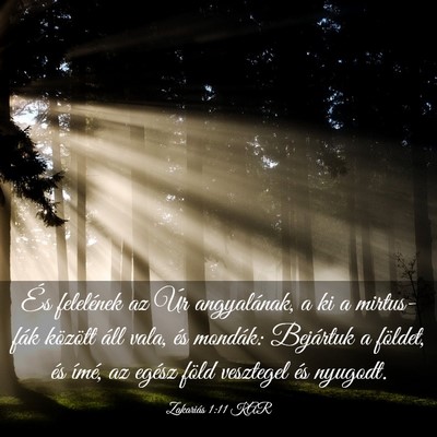 Picture 03 - Zakariás 1:11 KAR - És felelének az Úr angyalának, a ki a - Bible Verse Picture