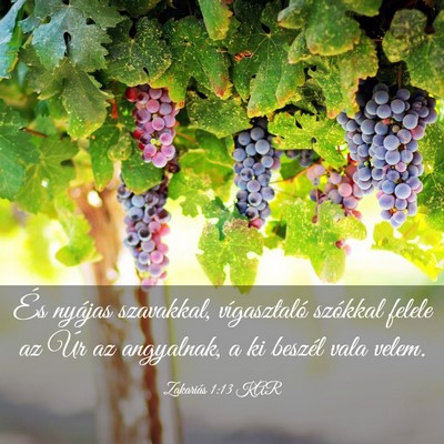 Picture 03 - Zakariás 1:13 KAR - És nyájas szavakkal, vígasztaló szókkal - Bible Verse Picture