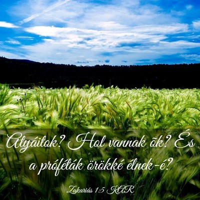 Picture 03 - Zakariás 1:5 KAR - Atyáitok? Hol vannak õk? És a próféták - Bible Verse Picture