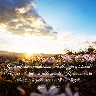 Picture 03 - Zakariás 11:17 KAR - Jaj a mihaszna pásztornak, a ki elhagyja a - Bible Verse Picture