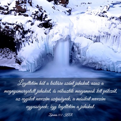 Picture 03 - Zakariás 11:7 KAR - Legeltetém hát a leölésre szánt juhokat, - Bible Verse Picture