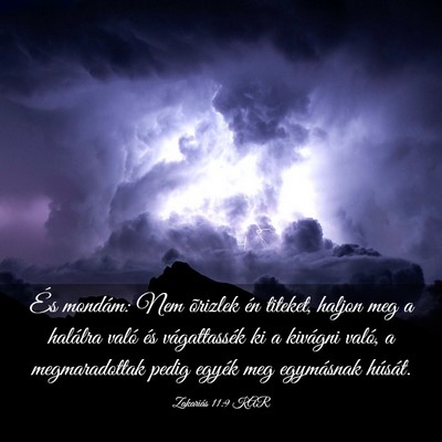 Picture 03 - Zakariás 11:9 KAR - És mondám: Nem õrizlek én titeket, haljon meg - Bible Verse Picture