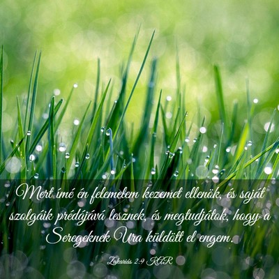 Picture 03 - Zakariás 2:9 KAR - Mert ímé én felemelem kezemet ellenök, és - Bible Verse Picture