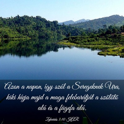Picture 03 - Zakariás 3:10 KAR - Azon a napon, így szól a Seregeknek Ura, kiki - Bible Verse Picture