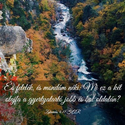 Picture 03 - Zakariás 4:11 KAR - És felelék, és mondám néki: Mi ez a két - Bible Verse Picture