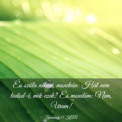 Picture 03 - Zakariás 4:13 KAR - És szóla nékem, mondván: Hát nem tudod-é, - Bible Verse Picture
